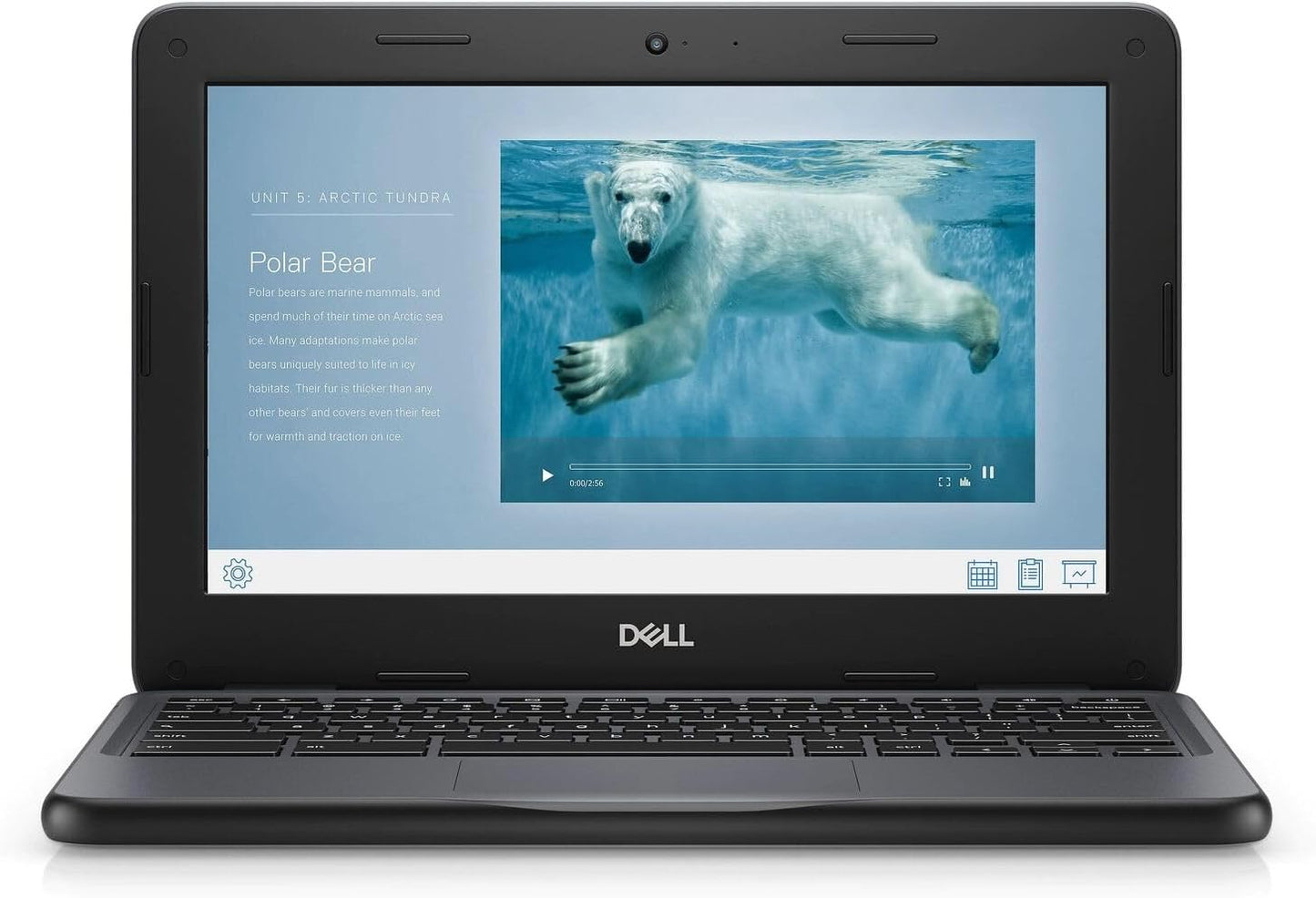 Dell Chromebook 11 3100 Review: A Reliable and Affordable Laptop