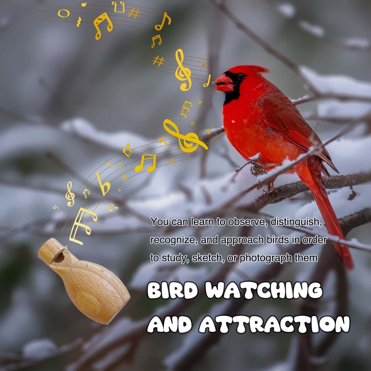 ZDH 9-Piece Wooden Bird Call Set: A Nature Lover's Dream