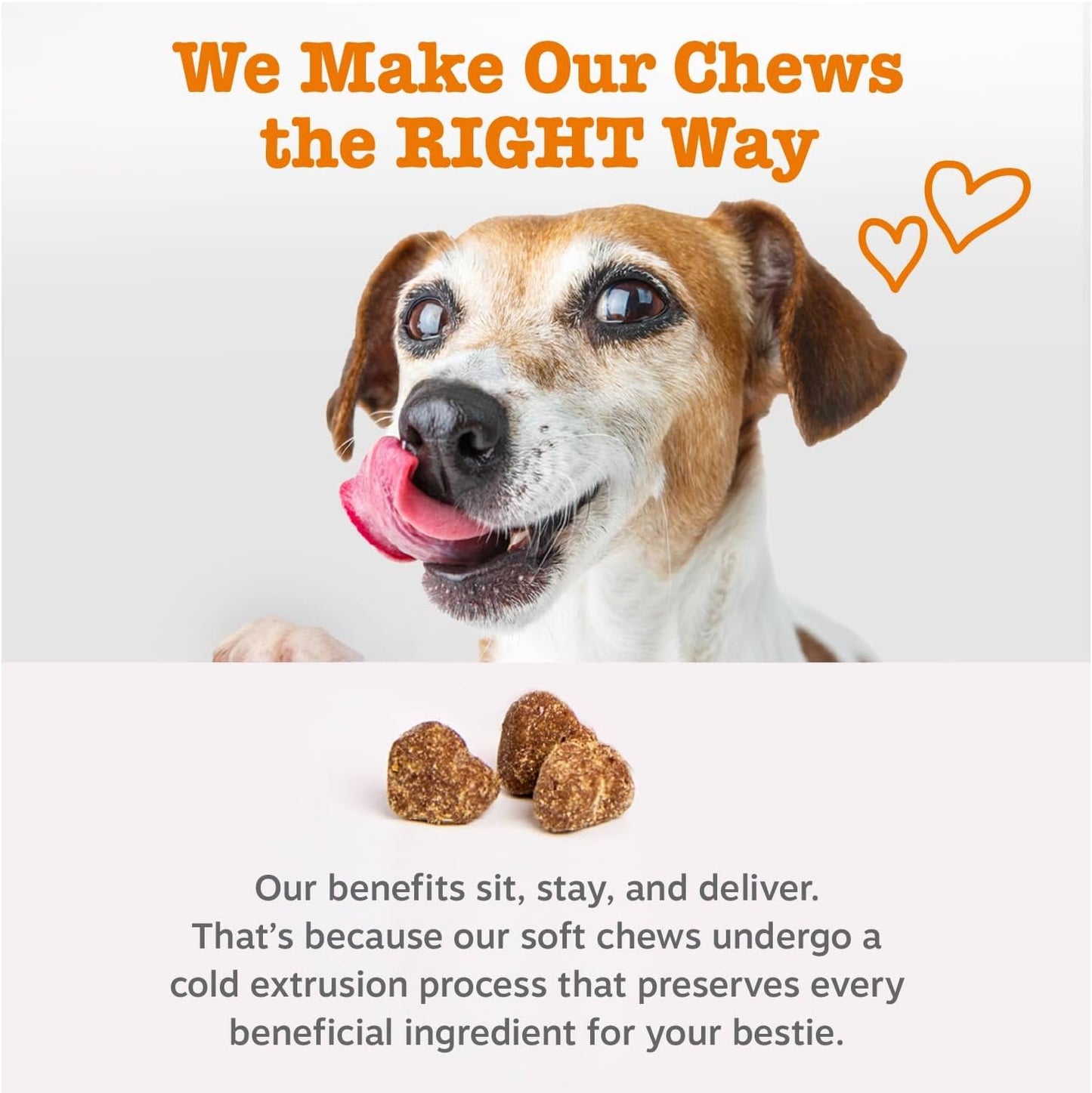 Zesty Paws Dog Multivitamin: A Comprehensive Supplement for Your Furry Friend