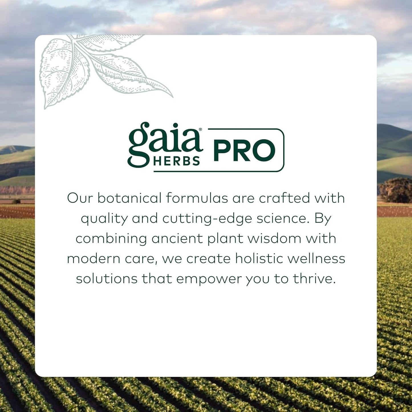 GAIA HERBS PRO Sleep Maintenance - Adrenal Health & Sleep Support* & PRO Somni-Mint Rosmarinic Complex - Sleep Health & Relaxation Support Supplement* - Bundle (Pack of 2)