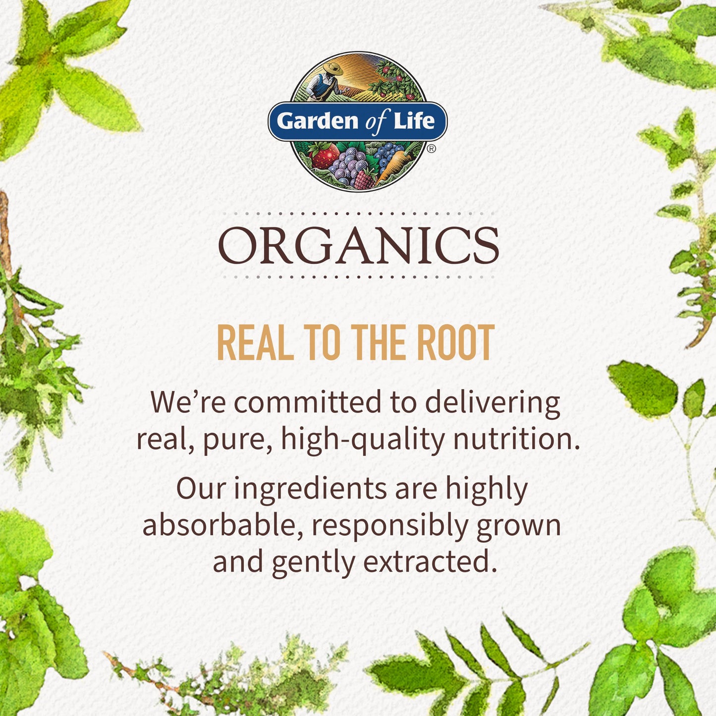 Garden of Life Organics Women's Gummy Vitamins - Berry - Certified Organic, Non-GMO, Vegan, Kosher Complete Multi - Methyl B12, C & D3 - Gluten, Soy & Dairy Free, 120 Real Fruit Gummies (Pack of 6)