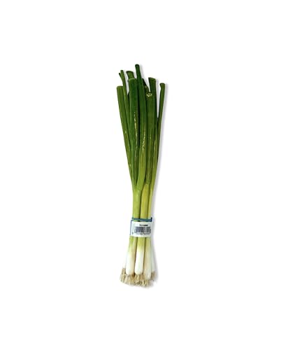 Green Onions That Add a Punch to Any Dish