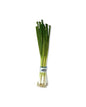 Green Onions That Add a Punch to Any Dish