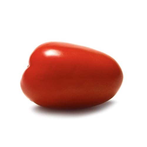 Plum Roma Tomatoes: The Unsung Heroes of the Produce Aisle
