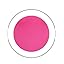 Hibiscus Purple