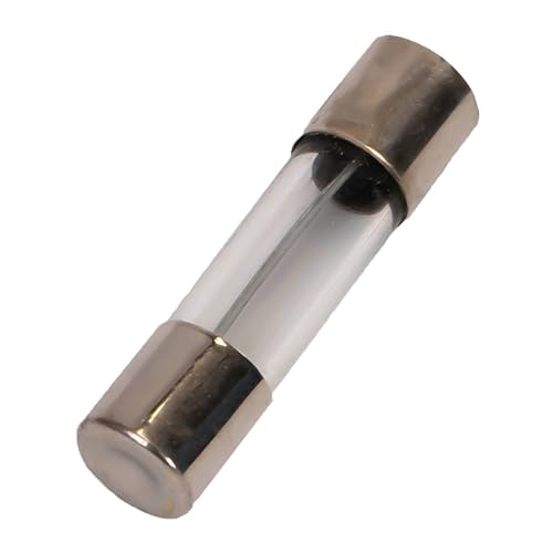5A Delon Technology - Glassicherungen, träge, 10er-Pack, 5x20mm / 0.2 x 0.78 Inch, 250V, T5AL250V