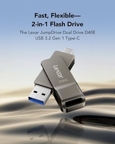 Lexar D40E 128GB Dual USB 3.2 Gen 1 Type-C Jump Drive, USB-C Flash Laufwerk Metallgehäuse Drehdesign (Champagne Silber)