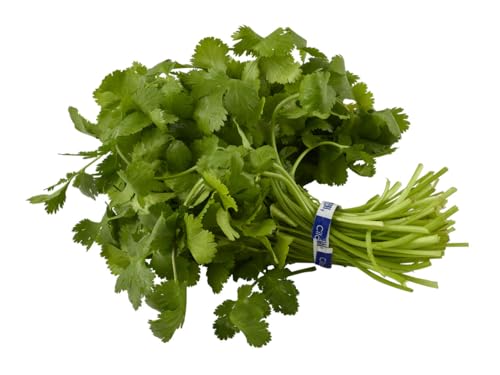 Cilantro, 1 Each by Natures Reward