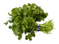 Cilantro, 1 Each by Natures Reward