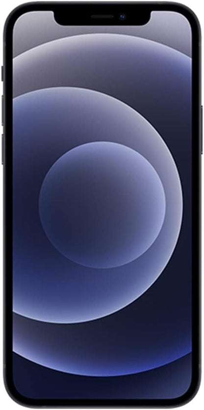 Apple iPhone 12 Mini Review: Compact Power