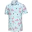 Hawaiian Flamingo