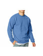 Hanes Men’s EcoSmart Fleece SweatshirtSweatshirt
