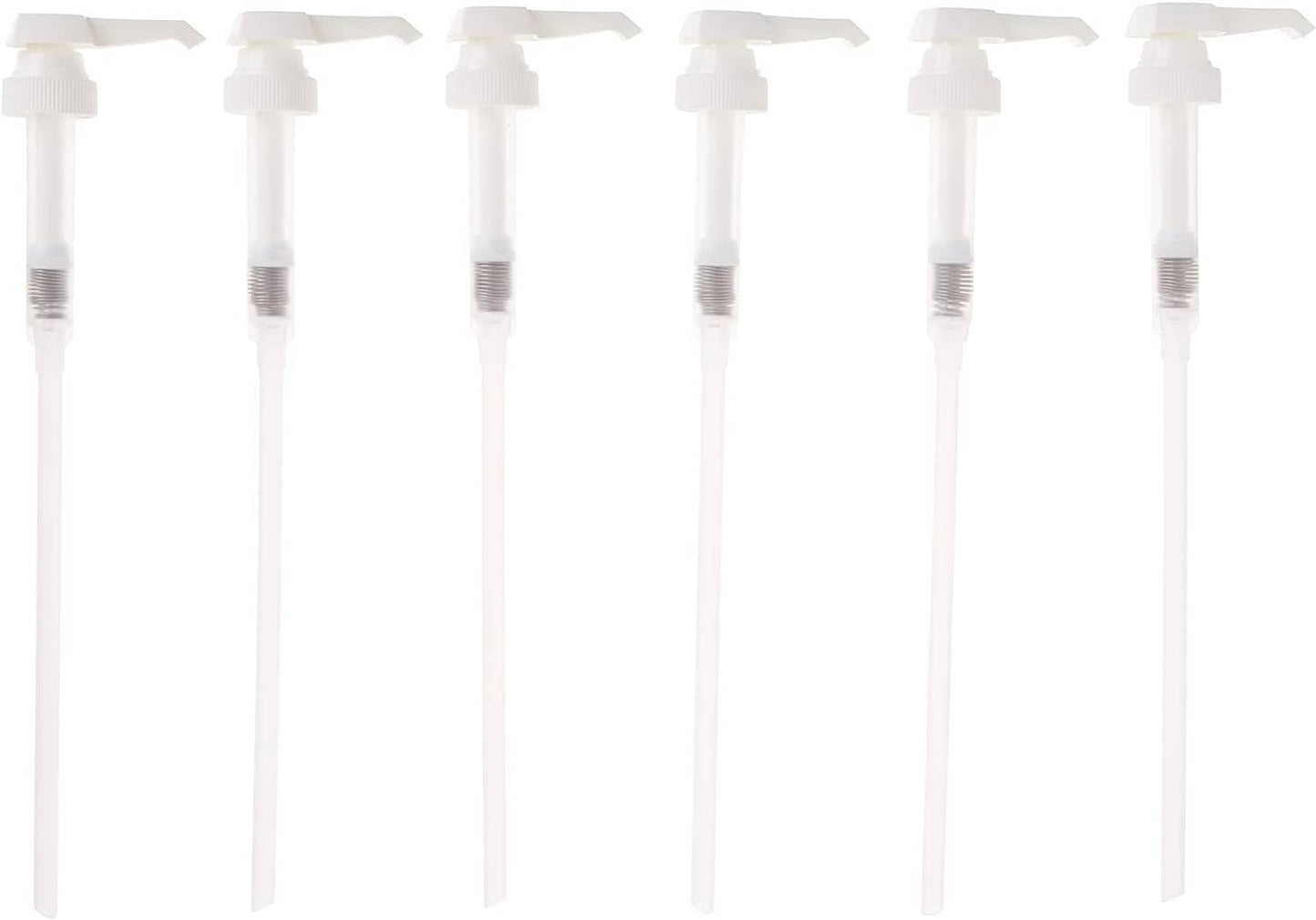 6 count (Pack of 1)