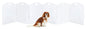 Clear Acrylic Freestanding Dog Gates for the House – Folding 3-Panel Pet Gates for Doorways, Indoor Stairs, and Hallways, Transparent Barrier for Dogs, Puppies, and Cats