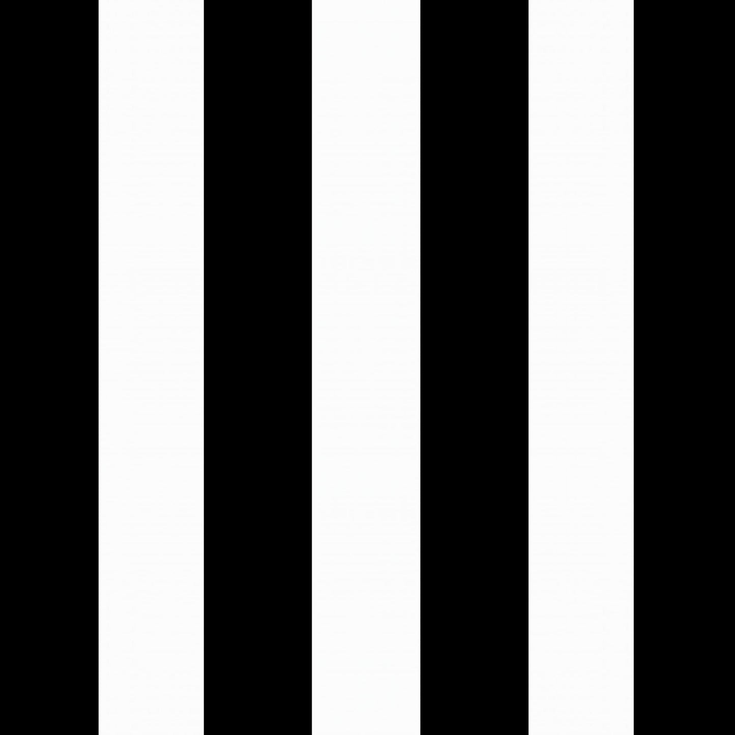 Arden 2-Pack Outdoor Patio Dining Chair Cushion, 20x44, Rain-Proof Seat Pad, Fade-Resistant Outdoor Cushion Black Cabana Stripe
