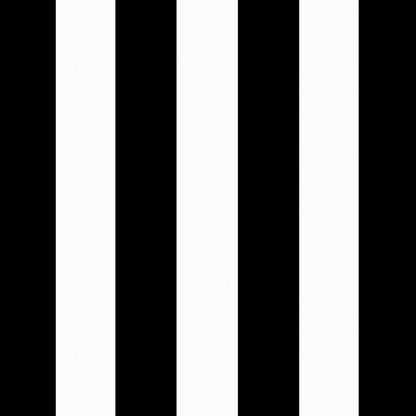 Arden 2-Pack Outdoor Patio Dining Chair Cushion, 20x44, Rain-Proof Seat Pad, Fade-Resistant Outdoor Cushion Black Cabana Stripe