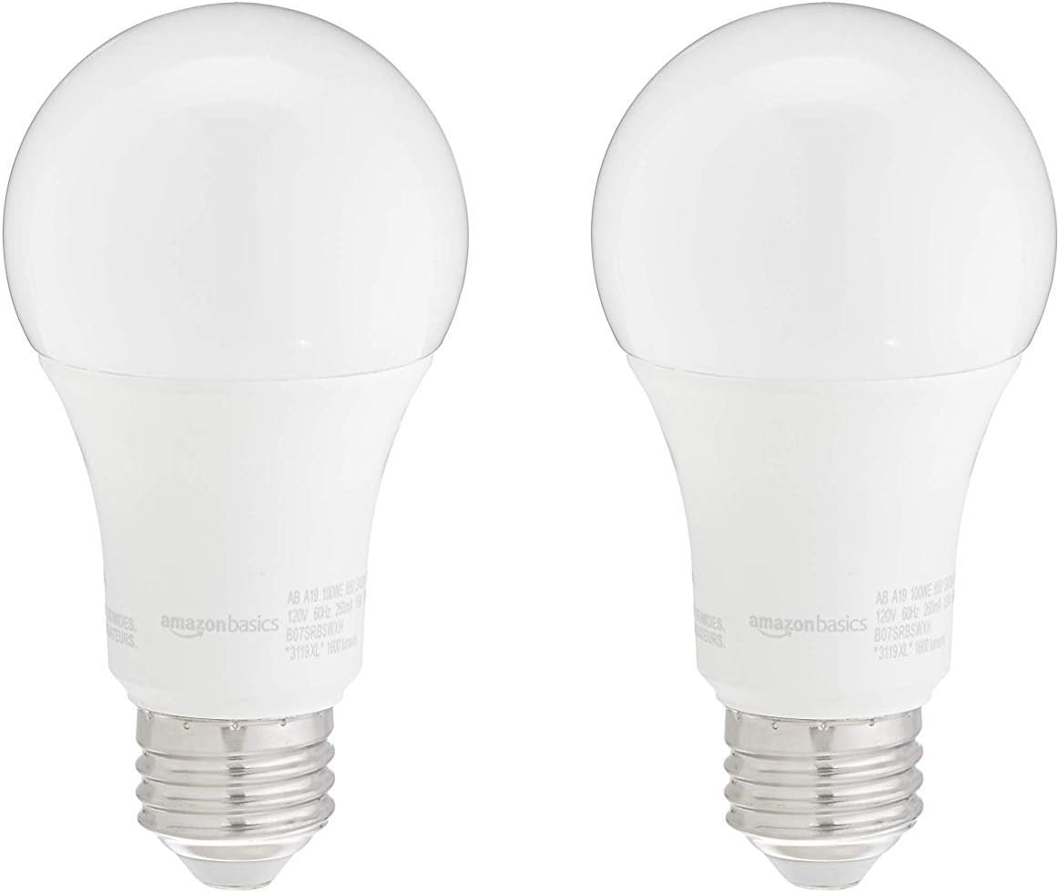 2 Count (Pack of 1)Daylight100 Watt