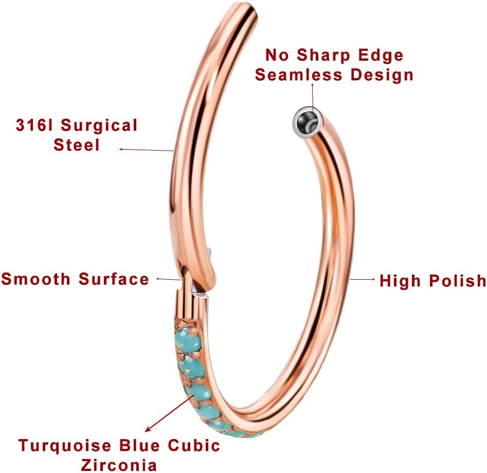TDEBA Conch Piercing Schmuck, 316L Chirurgenstahl Segment Nasenring, CZ Knorpel Ohrringe, Lippenring, Segment Helix Rook Nahtloser Clicker Piercing Schmuck