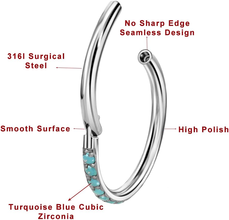 TDEBA Conch Piercing Schmuck, 316L Chirurgenstahl Segment Nasenring, CZ Knorpel Ohrringe, Lippenring, Segment Helix Rook Nahtloser Clicker Piercing Schmuck