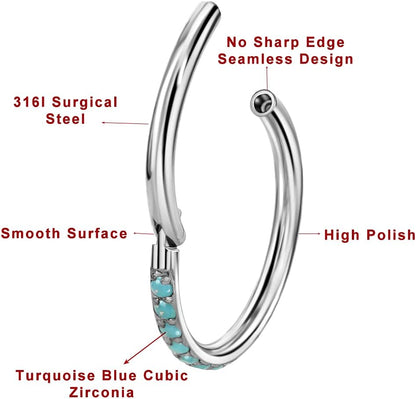 TDEBA Conch Piercing Schmuck, 316L Chirurgenstahl Segment Nasenring, CZ Knorpel Ohrringe, Lippenring, Segment Helix Rook Nahtloser Clicker Piercing Schmuck