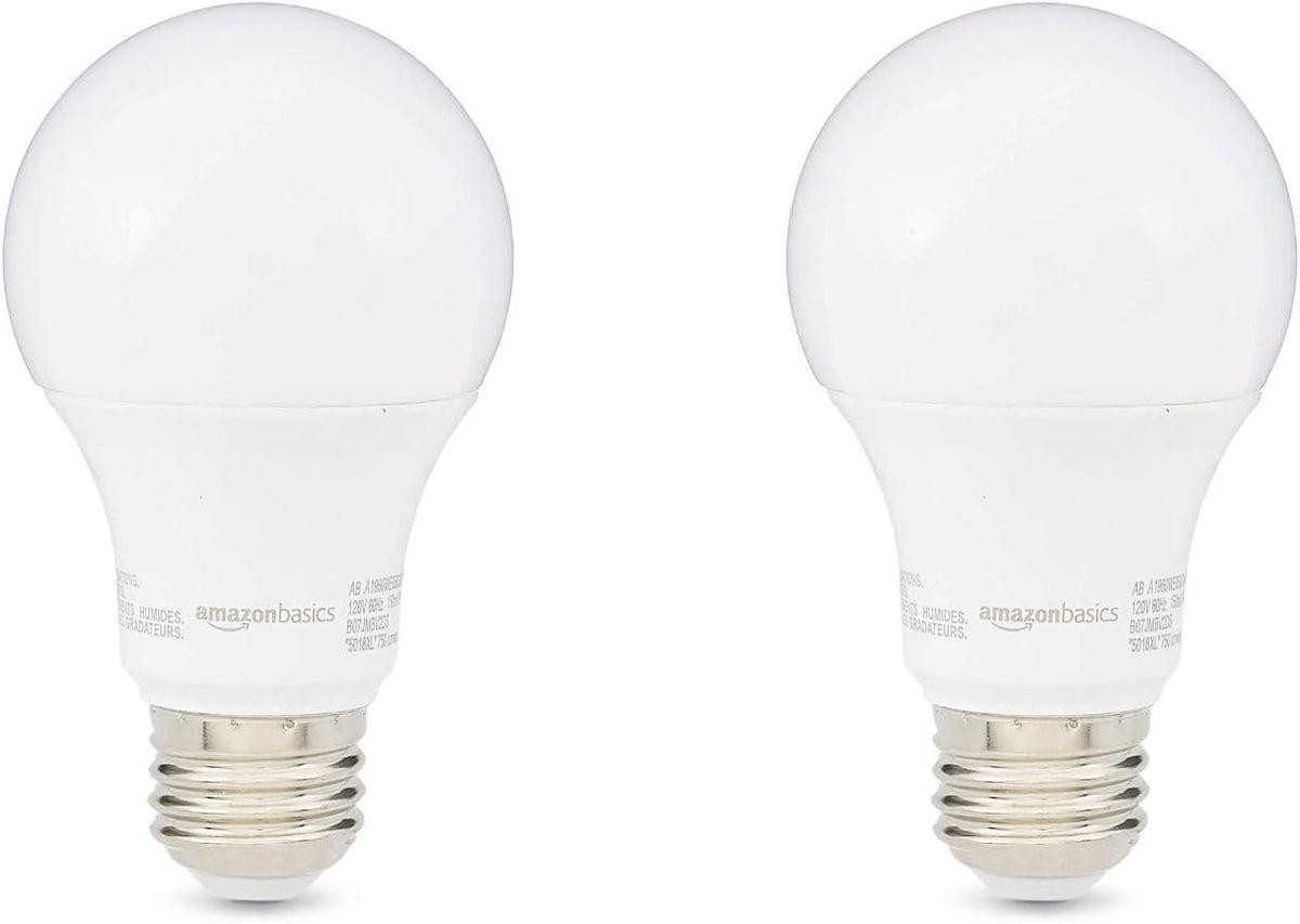 2 Count (Pack of 1)Soft White60W Equivalent