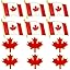 6 Flag Pins +6 Maple Pins