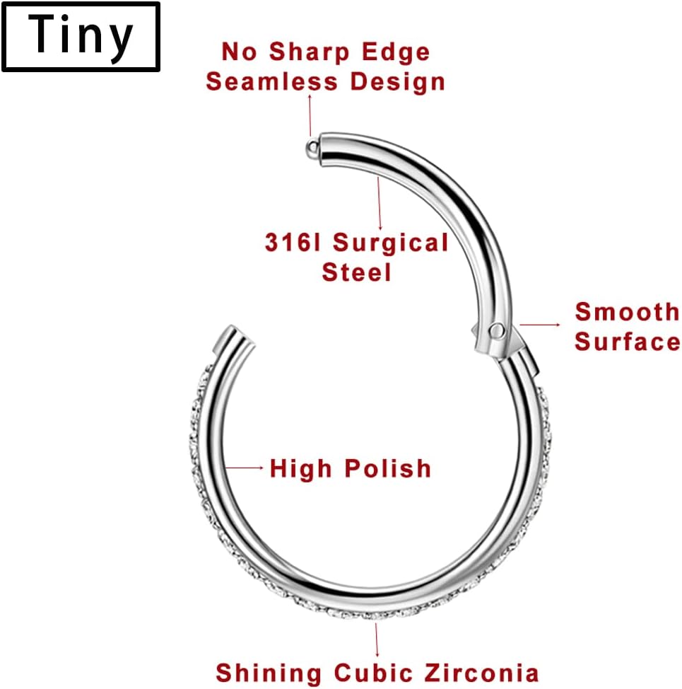 TDEBA Conch Piercing Schmuck, 316L Chirurgenstahl Segment Nasenring, CZ Knorpel Ohrringe, Lippenring, Segment Helix Rook Nahtloser Clicker Piercing Schmuck