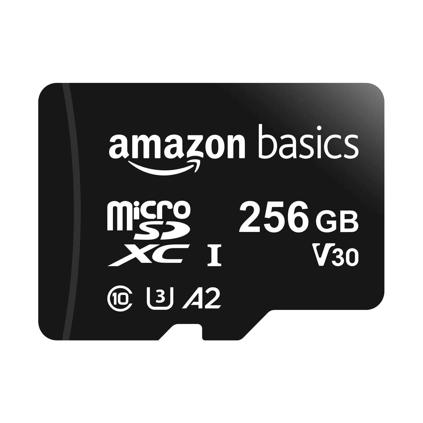 256GB