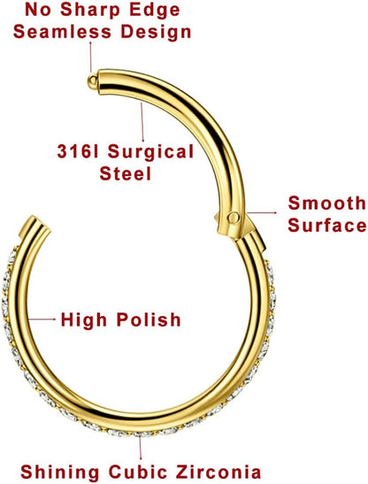 TDEBA Conch Piercing Schmuck, 316L Chirurgenstahl Segment Nasenring, CZ Knorpel Ohrringe, Lippenring, Segment Helix Rook Nahtloser Clicker Piercing Schmuck