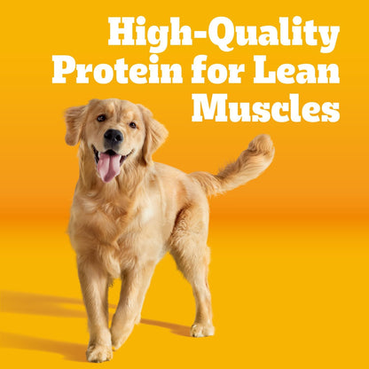 Pedigree Adult Dry Dog Food Review: A Balanced Choice for Your Furry Friend