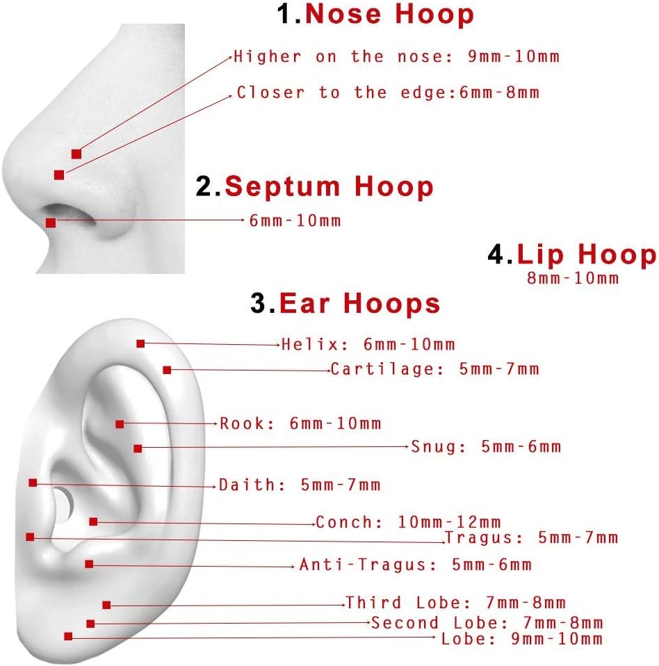 TDEBA Conch Piercing Schmuck, 316L Chirurgenstahl Segment Nasenring, CZ Knorpel Ohrringe, Lippenring, Segment Helix Rook Nahtloser Clicker Piercing Schmuck