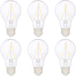 6 Count (Pack of 1)Clear, Daylight40 Watt