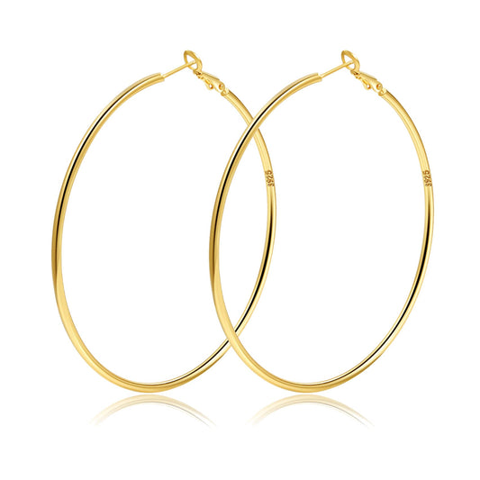 Large Gold Hoop Earrings for Women Big Hoops Earring Hypoallergenic Thin Gold Hoop Earrings Sterling Silver Hoop Earrings for Womens Extra Large Medium Big Hoop Earrings