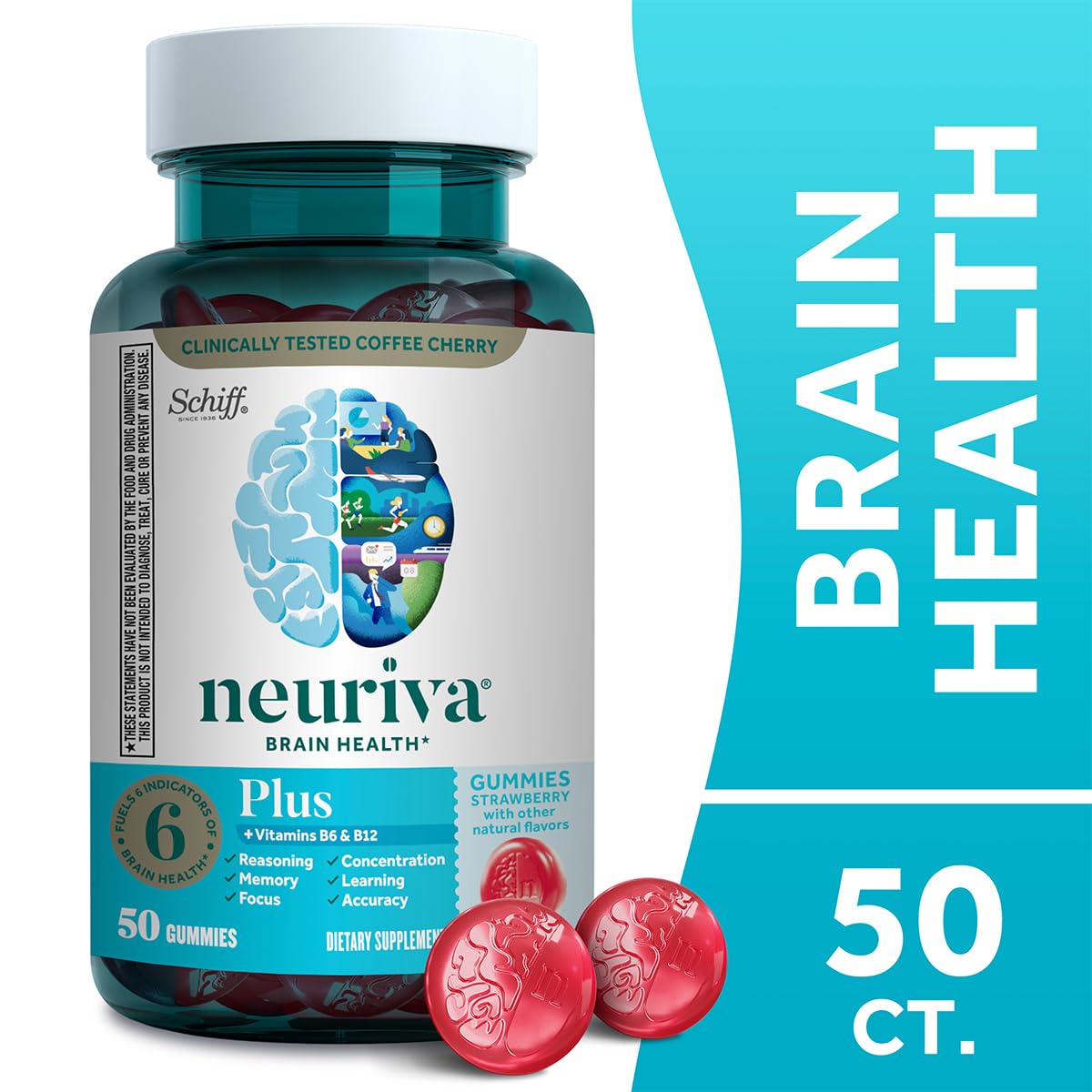 NEURIVA Plus Brain Supplements for Memory and Focus, Clinically Tested Nootropics Neurofactor and Phosphatidylserine with Vitamin B12, Vitamin B6, 50 Count Strawberry Gummies (Pack of 12)