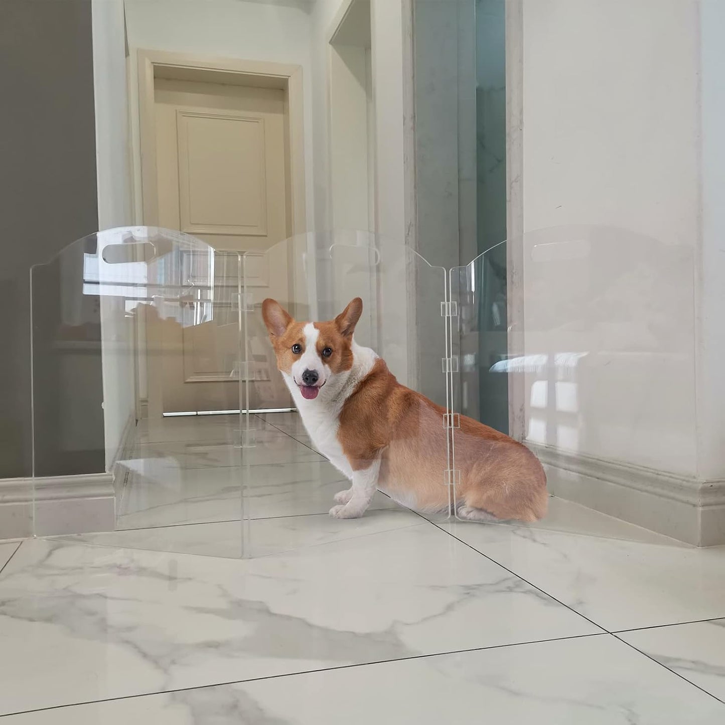 Clear Acrylic Freestanding Dog Gates for the House – Folding 3-Panel Pet Gates for Doorways, Indoor Stairs, and Hallways, Transparent Barrier for Dogs, Puppies, and Cats