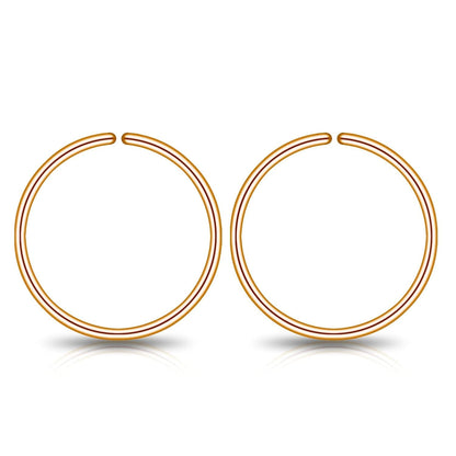 Small Gold or Sterling Silver Huggie Hoop Earrings for Women Cartilage Nose Helix Tragus
