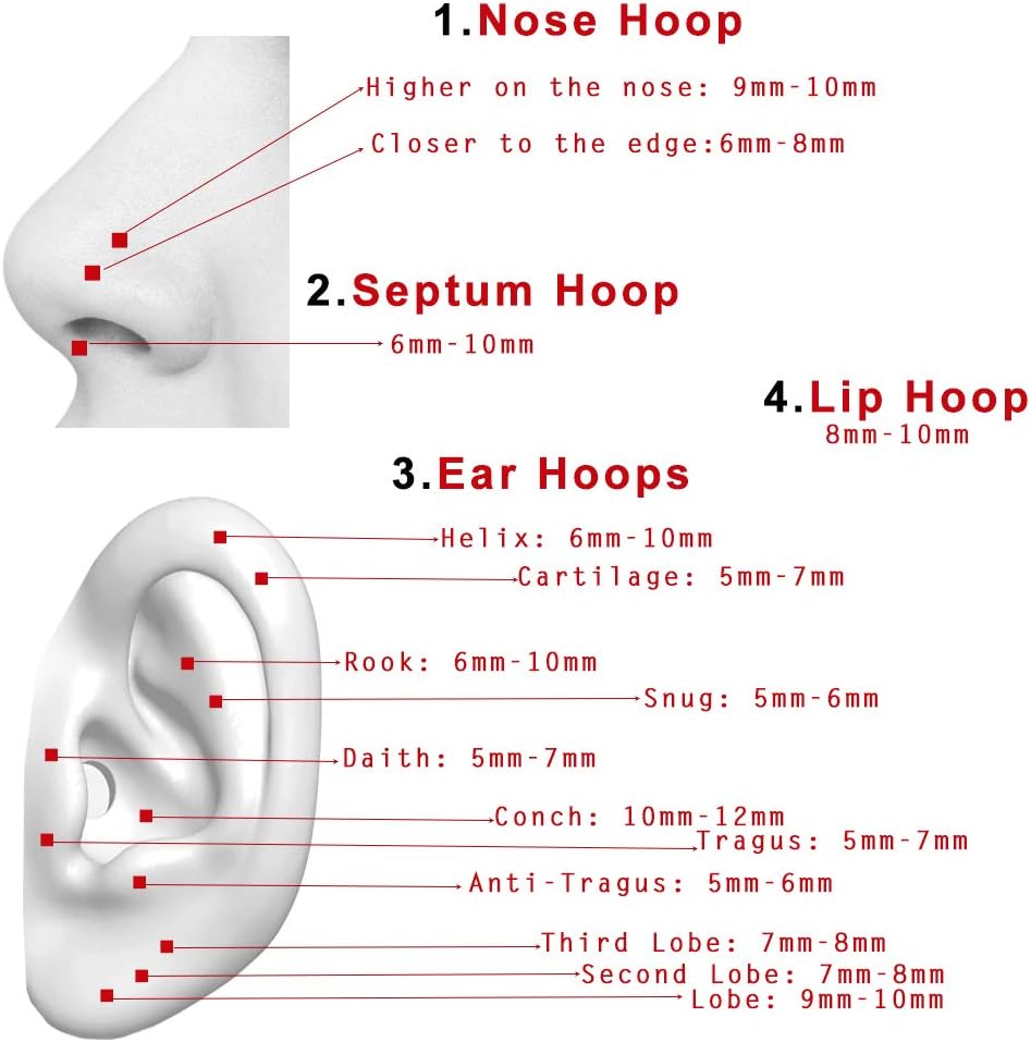 TDEBA Conch Piercing Schmuck, 316L Chirurgenstahl Segment Nasenring, CZ Knorpel Ohrringe, Lippenring, Segment Helix Rook Nahtloser Clicker Piercing Schmuck
