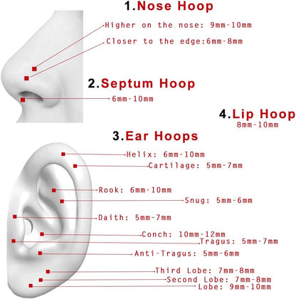 TDEBA Conch Piercing Schmuck, 316L Chirurgenstahl Segment Nasenring, CZ Knorpel Ohrringe, Lippenring, Segment Helix Rook Nahtloser Clicker Piercing Schmuck