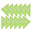 12 X Green