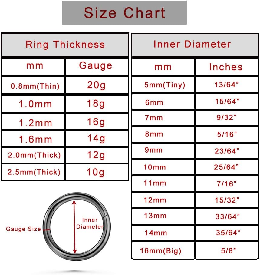 TDEBA Conch Piercing Schmuck, 316L Chirurgenstahl Segment Nasenring, CZ Knorpel Ohrringe, Lippenring, Segment Helix Rook Nahtloser Clicker Piercing Schmuck