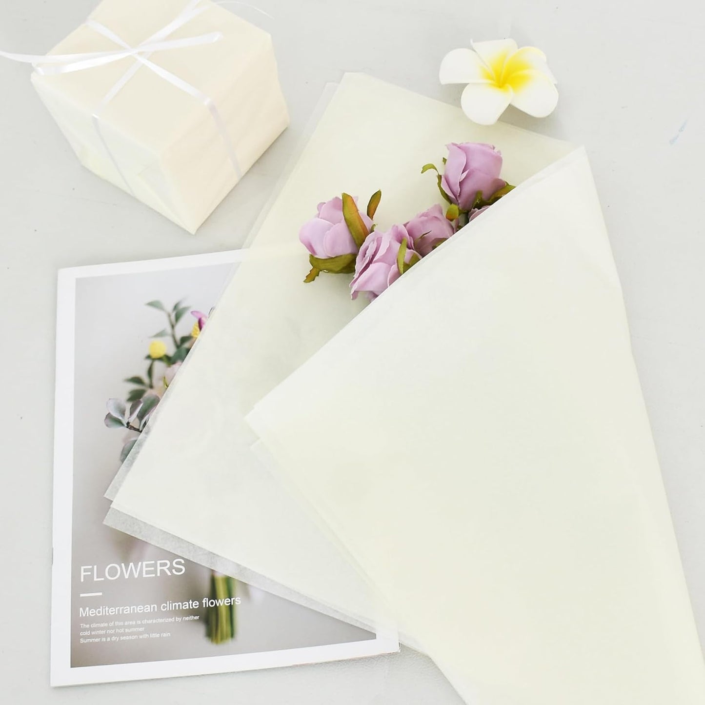 100 Blatt Seidenpapier Salbeigrün 35x50cm Geschenkpapier Seidenpapier Großpackung für DIY-Projekte Geschenktüten Geschenkverpackungen Hochzeiten Valentinstag Ostern Weihnachten und Geburtstagsfeiern Basteln