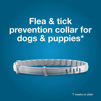 Seresto Flea & Tick Collar: Effective Protection for Your Dog