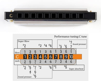 JDR Mundharmonika C, Blues-Mundharmonika in C, 10-Loch, 20 Töne mit Etui, Standard diatonisch für Anfänger, Erwachsene, Profis, Lehrer, Eltern, Schüler, Schwarz, Neujahrsgeschenk