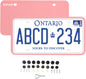 Silicone Frames Pink-2 pack