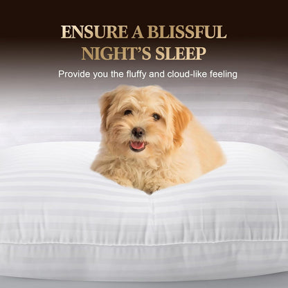 SHERWOOD Kissen, Queen-Size, 2er-Pack, Hotelkissen mit Baumwollbezug und Daunenalternative-Faserfüllung, Bettkissen zum Schlafen