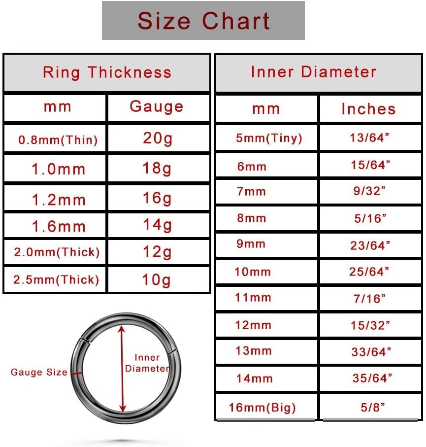 TDEBA Conch Piercing Schmuck, 316L Chirurgenstahl Segment Nasenring, CZ Knorpel Ohrringe, Lippenring, Segment Helix Rook Nahtloser Clicker Piercing Schmuck