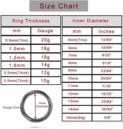 TDEBA Conch Piercing Schmuck, 316L Chirurgenstahl Segment Nasenring, CZ Knorpel Ohrringe, Lippenring, Segment Helix Rook Nahtloser Clicker Piercing Schmuck