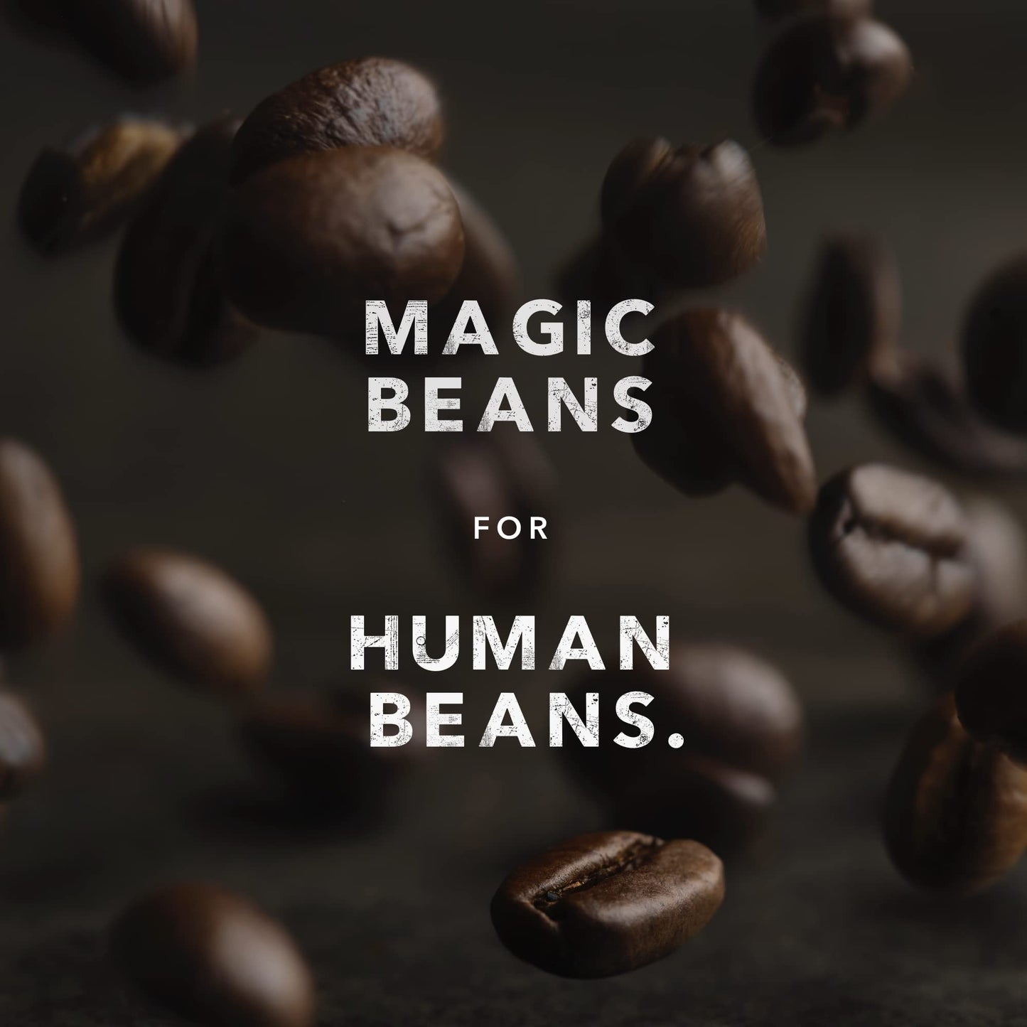 Kicking Horse Coffee, Kick Ass, Ganze Bohnen, 454 g