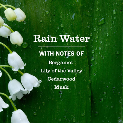 MRS. MEYER'S CLEAN DAY Hand Soap Refill in Rain Water Scent