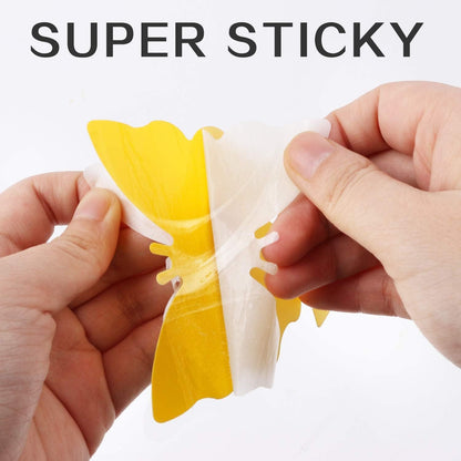 Fruit Fly Traps That Actually Work: 36 Pack Yellow Sticky Bug Traps